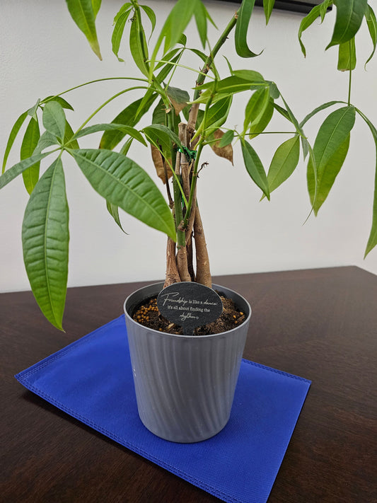 Custom Slate Plant Marker, Memorial Plant Label, Personalized Garden Marker, Housewarming Gift, Planter Tag, Saying Plant Stake, Flower Pot Plaque, Plant Pick